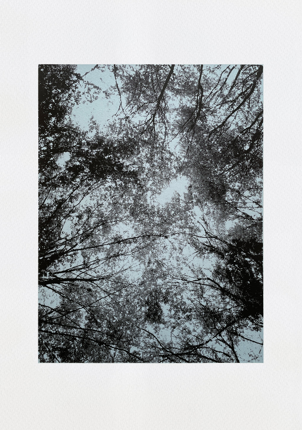 Looking up I