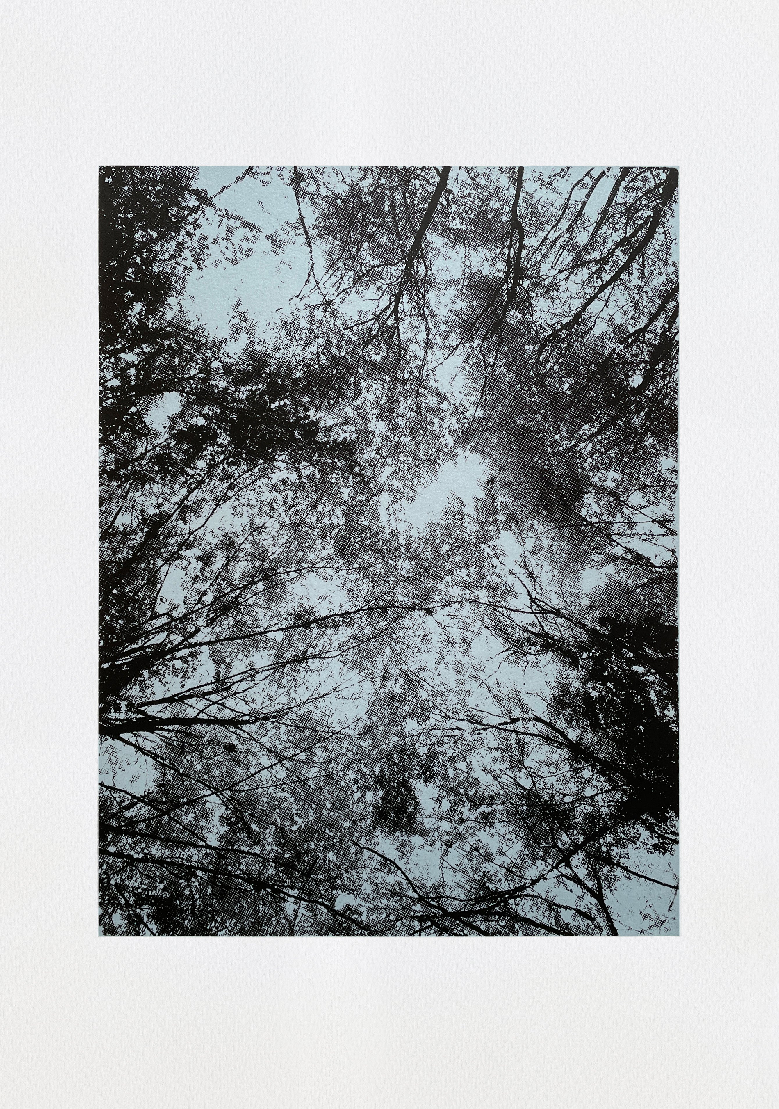 Looking up I