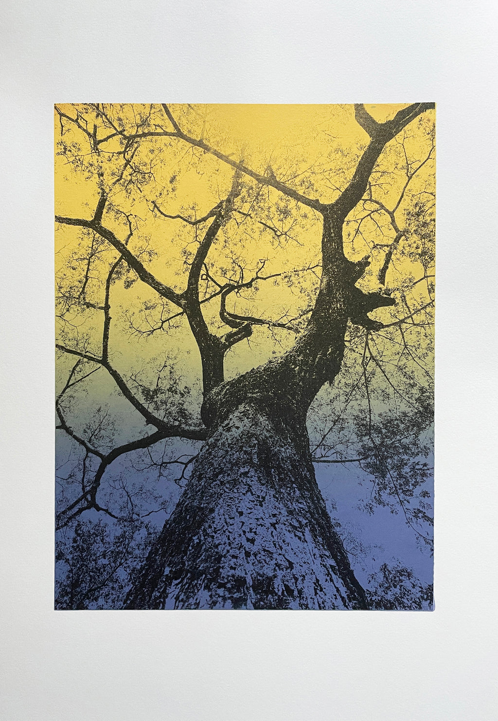 Looking up III / Yellow