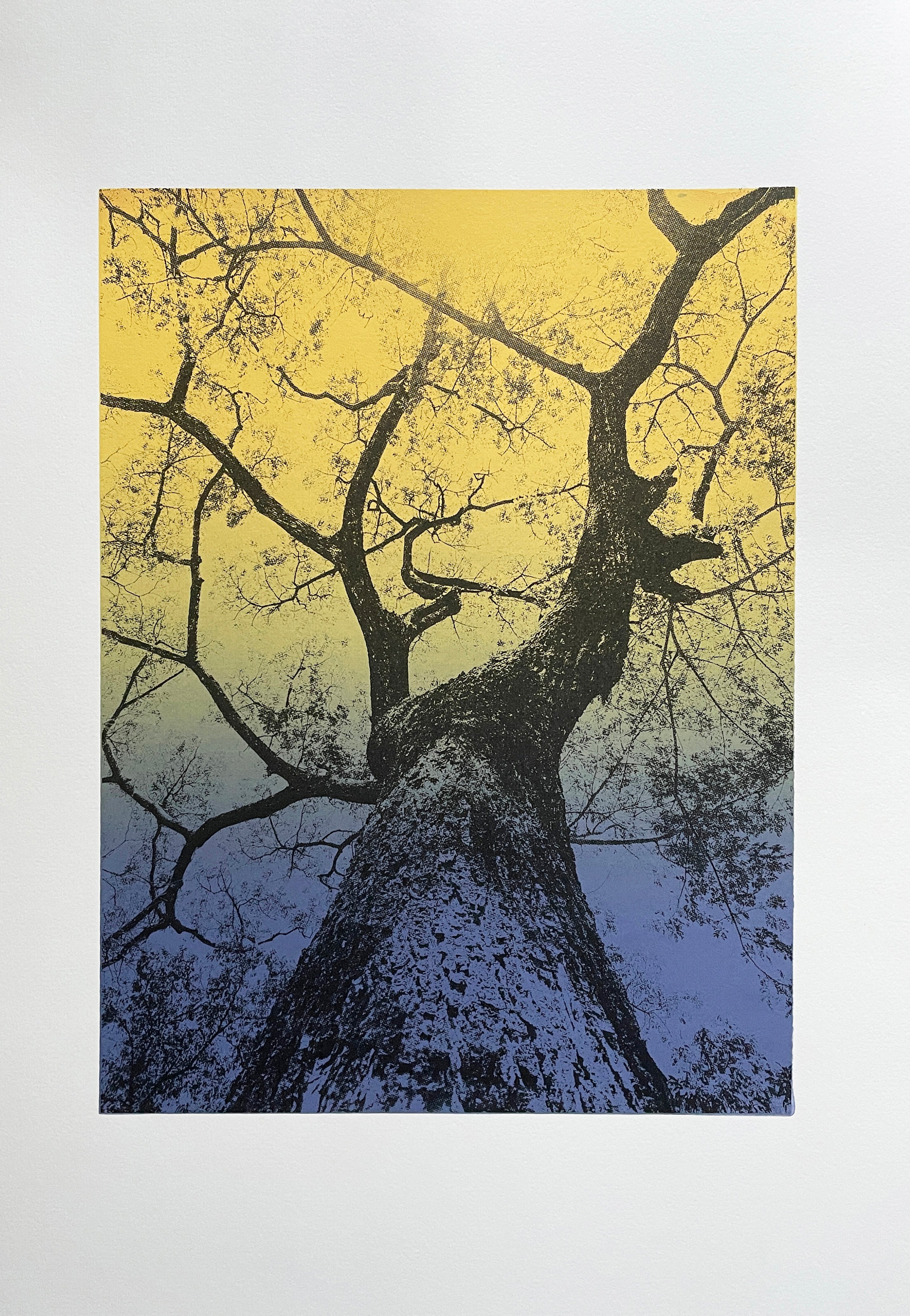 Looking up III / Yellow