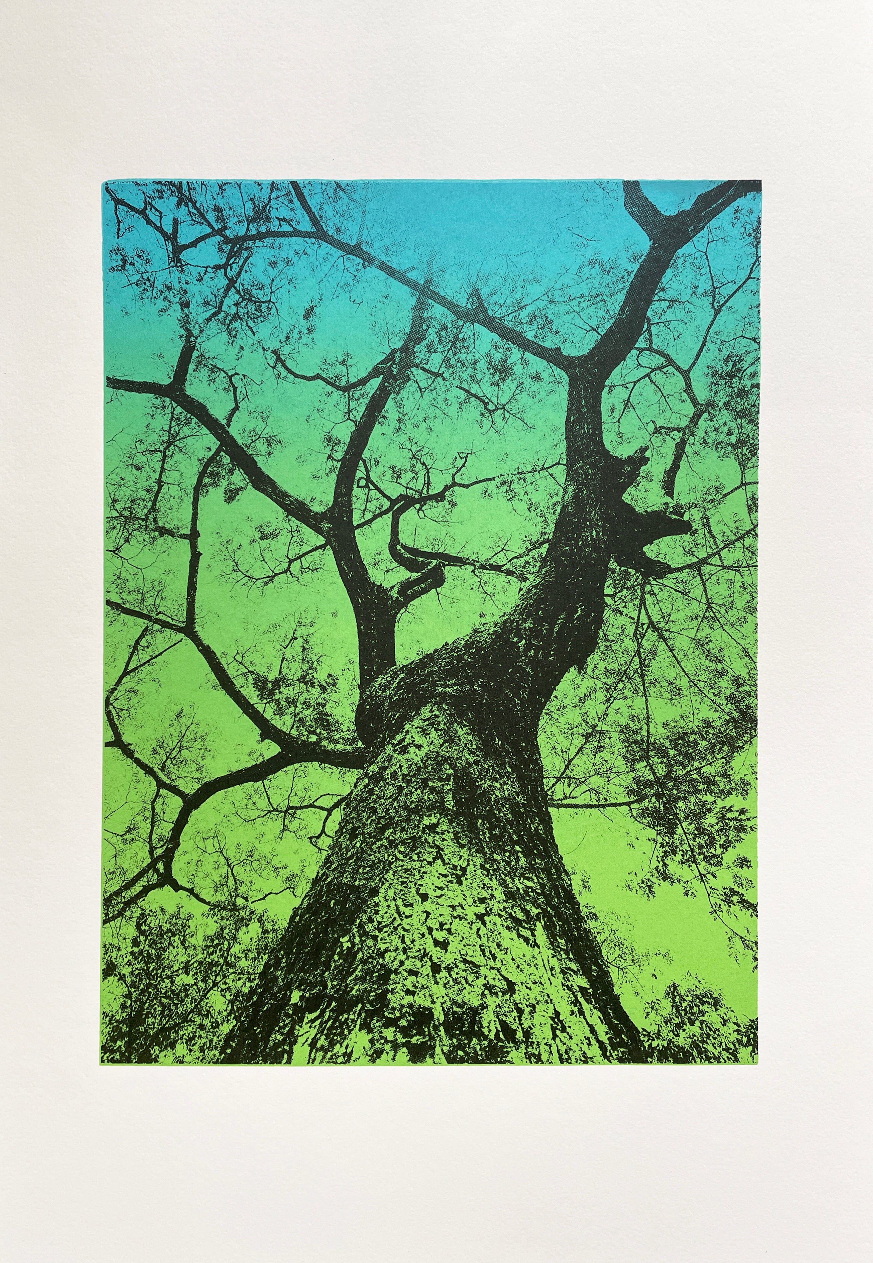 Looking up III / Green