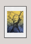 Looking up III / Yellow
