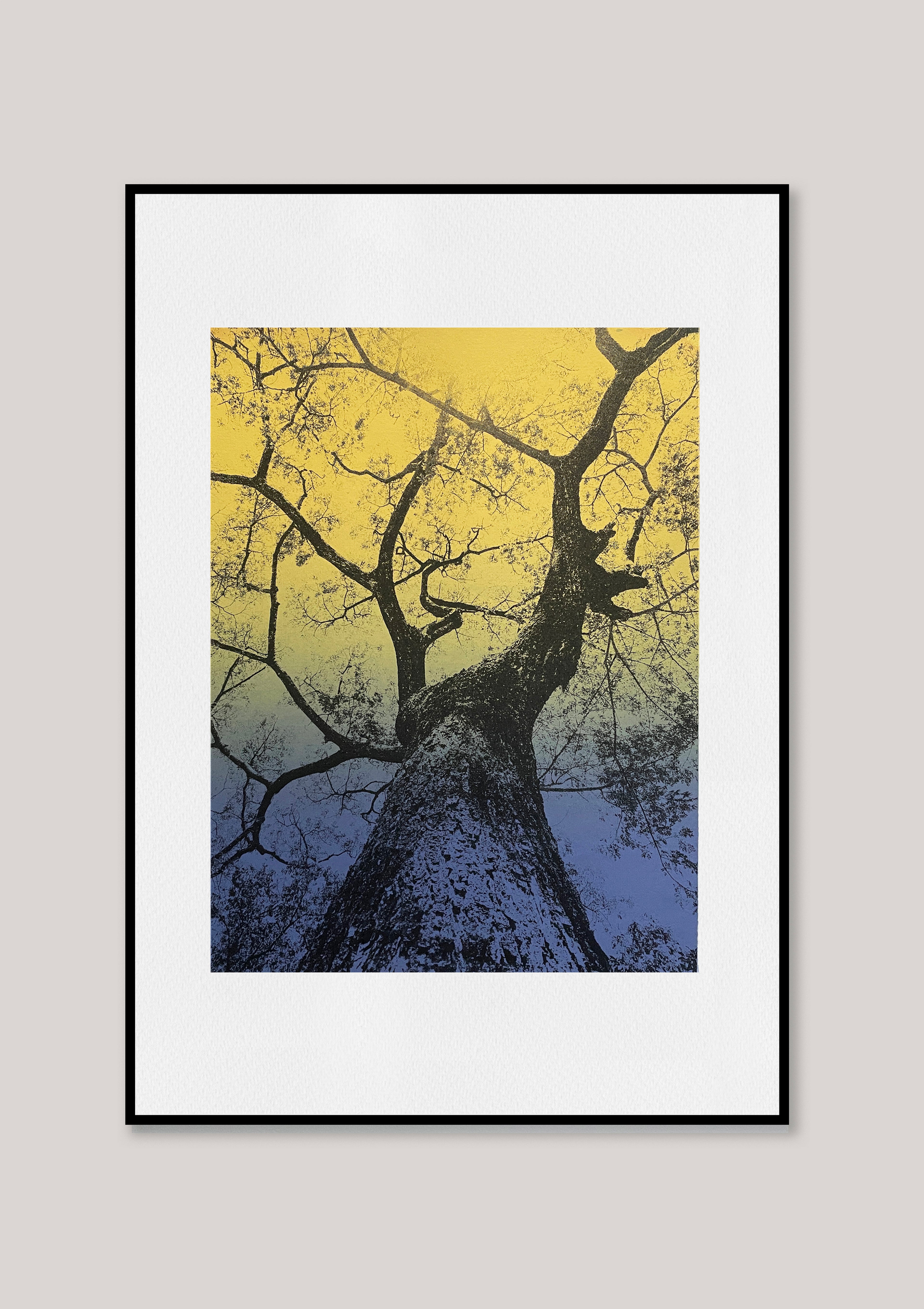 Looking up III / Yellow