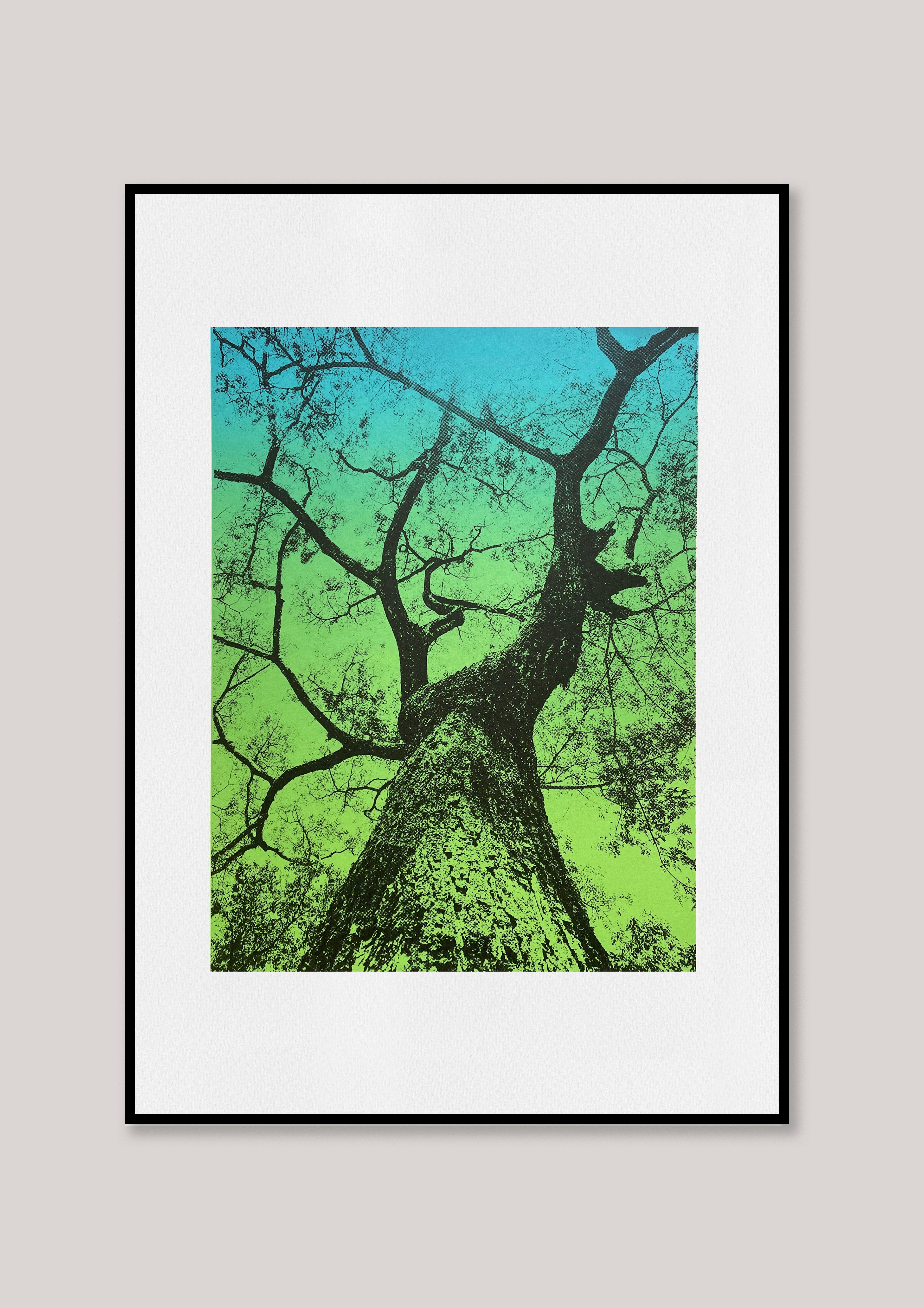 Looking up III / Green