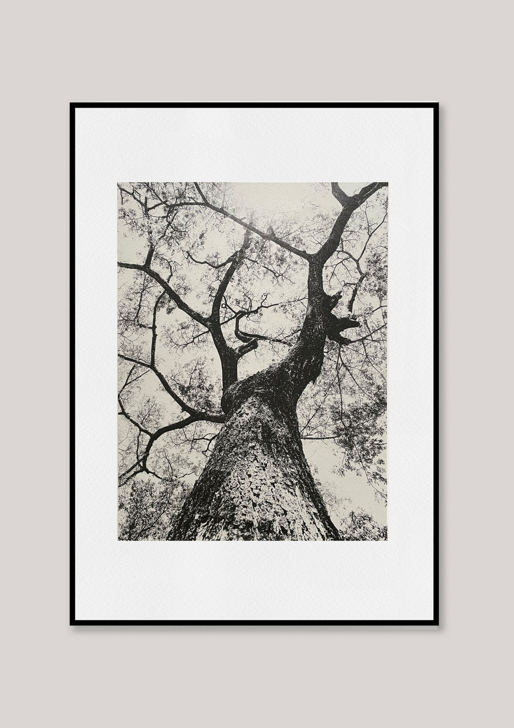 Looking up III / Silver
