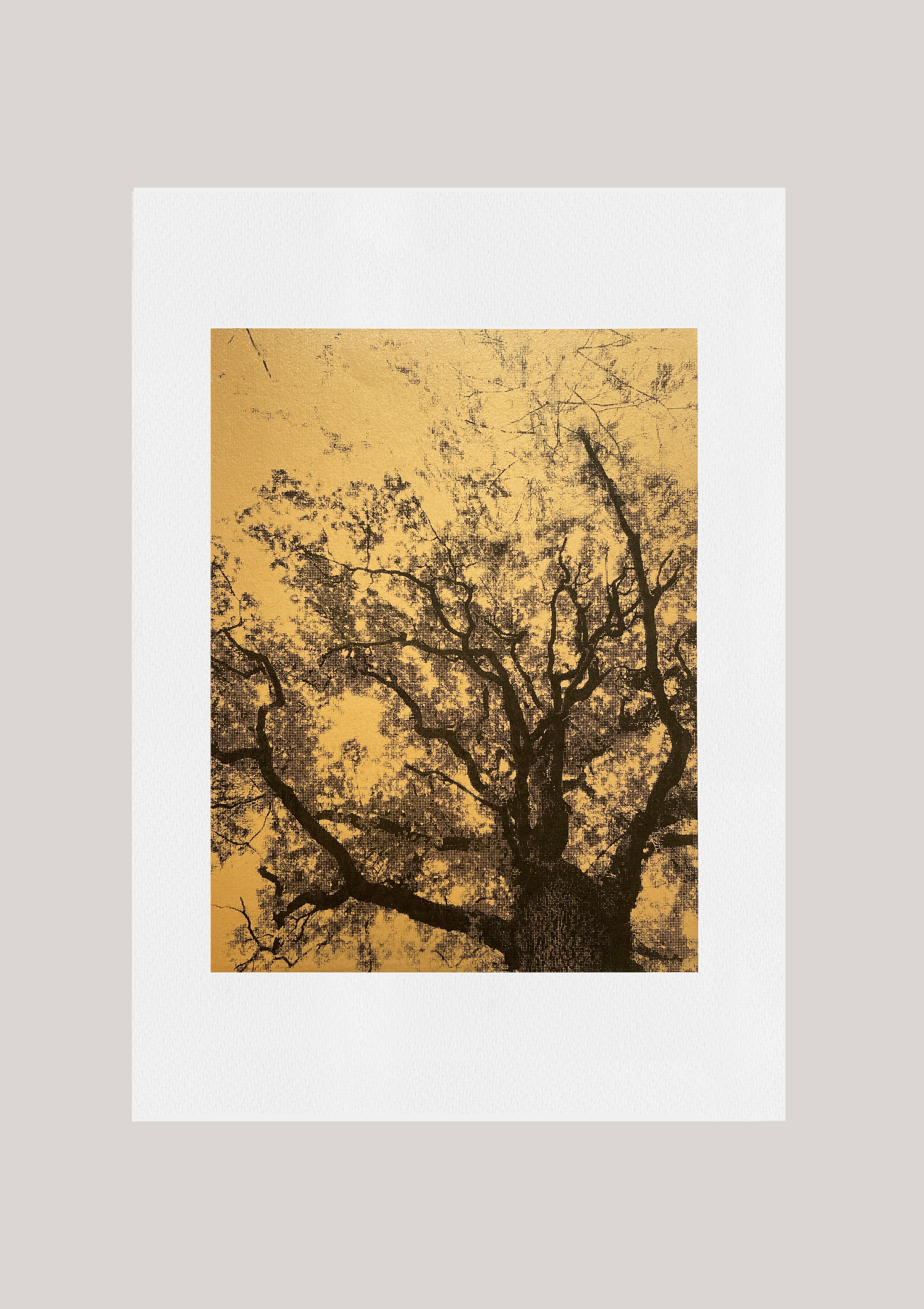 Giclée print - Looking Up II
