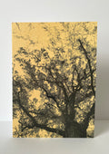 Card / Nature 01
