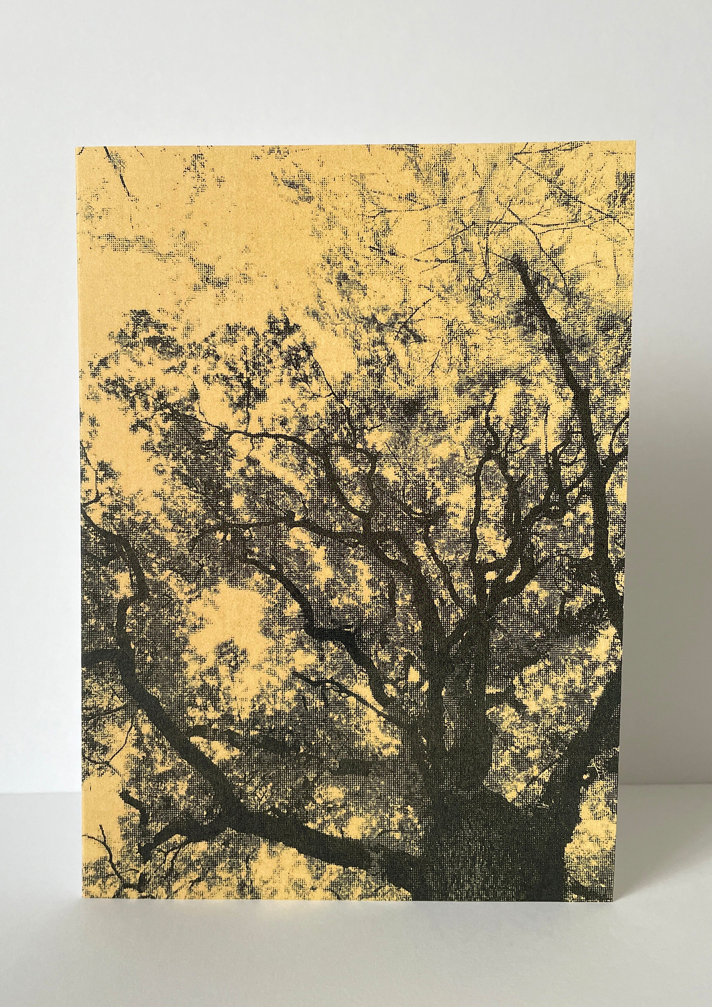 Card / Nature 01