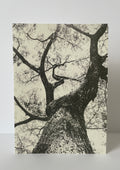 Card / Nature 02