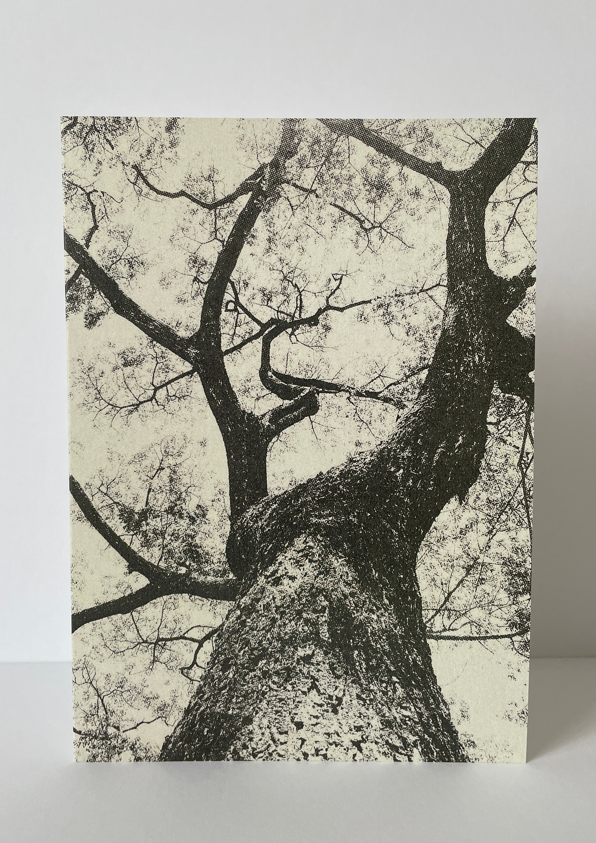 Card / Nature 02